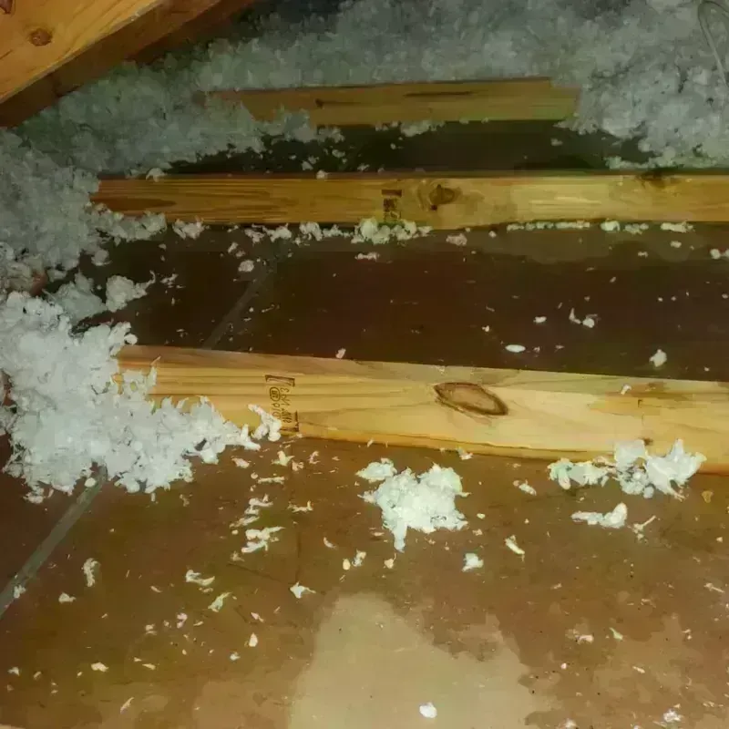 Attic Water Damage in Central, TN